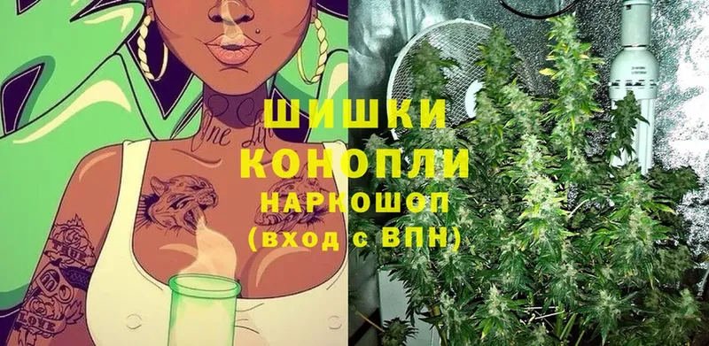 наркота  Краснозаводск  Шишки марихуана OG Kush 